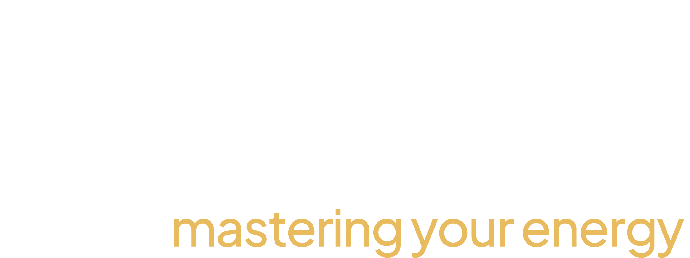 Ludero Logo